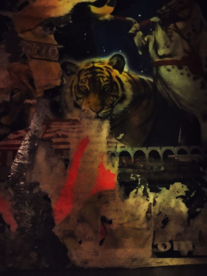 "Animali fantastici": le foto di Vasco Ascolini e Chiara Mazzeri al Leone "Animali fantastici": le foto di Vasco Ascolini e Chiara Mazzeri al Leone