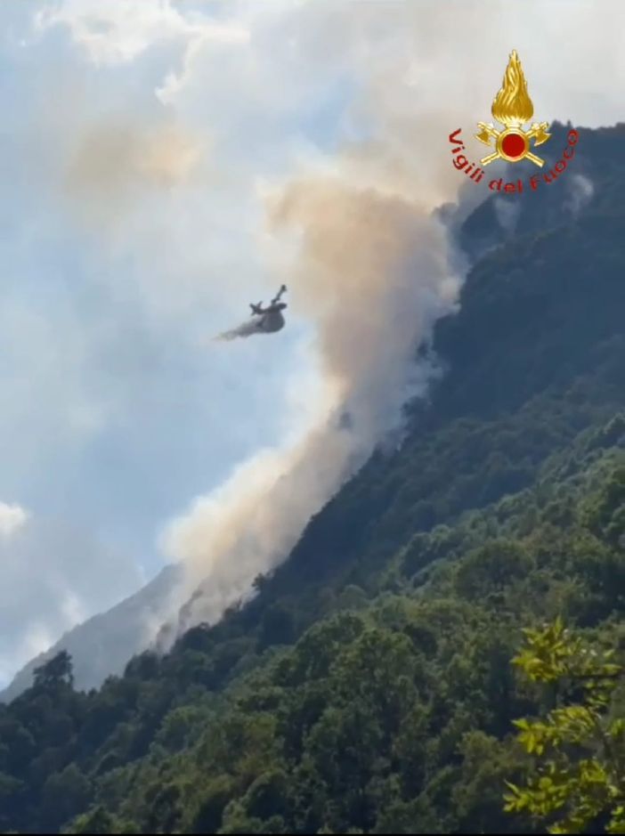 Rassa, incendio in Val Sorba, al lavoro due canadair e due elicotteri - video Rassa, incendio in Val Sorba, al lavoro due canadair e due elicotteri - video