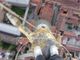 Follia a Novara: si arrampicano sulla cupola di San Gaudenzio per un selfie Follia a Novara: si arrampicano sulla cupola di San Gaudenzio per un selfie