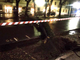 Cade un albero su viale Garibaldi - FOTO