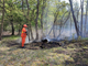 Incendio boschivo divampa in Baraggia, quattro focolai spenti. Si procede con la bonifica FOTO