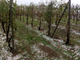 Violenta grandinata sui Nebbioli pronti per la vendemmia