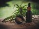 Effetti dei cristalli, olio e liquido CBD in ambito terapeutico e sessuale