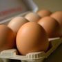 Quattro uova a settimana per 'curare' sistema nervoso, vista e pelle: cosa dice l'immunologo