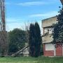 Paura a Roma, cade albero e sfonda finestra del liceo Orazio Paura a Roma, cade albero e sfonda finestra del liceo Orazio