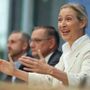 Ucraina, linea dura Afd: "Via gli ucraini dalla Germania, stop ai soldi per Kiev"