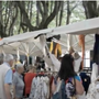 Torna la Fiera di maggio (Domenica 24 e lunedì 25 maggio)