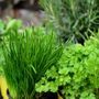 Il ruolo dei grossisti biologici nella filiera alimentare europea Il ruolo dei grossisti biologici nella filiera alimentare europea