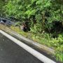 Pozzolo, incidente nel biellese, tasso alcolemico oltre i limiti