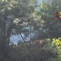 Incendi in Valsesia, si lavora per la messa in sicurezza delle zone colpite