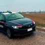 Evade dai domiciliari per andare a rubare in una ditta: arrestato Evade dai domiciliari per andare a rubare in una ditta: arrestato