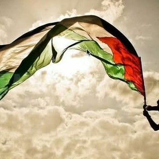 Dalla pagina Faceboook, Insieme per Gaza Vercelli