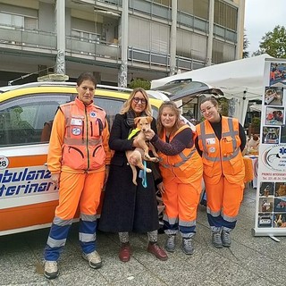 Cani, gatti, fauna selvatica: un anno intenso per l'Ambulanza Veterinaria