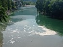 Schiuma nel fiume a Borgosesia, le rassicurazioni di Comune e Arpa Schiuma nel fiume a Borgosesia, le rassicurazioni di Comune e Arpa