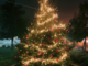 Santhià: un albero (grazie a Marazzato)  di Natale per tutto l'anno