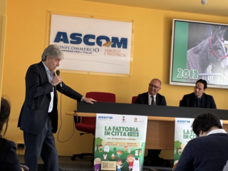 Aldo Casalini (Fondazione)