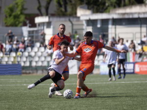 Boufandar (f. DEVECCHI)