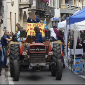 Cigliano, soddisfatta la Pro Loco per Agricigliano Cigliano, soddisfatta la Pro Loco per Agricigliano
