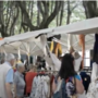 Torna la Fiera di maggio (Domenica 24 e lunedì 25 maggio)
