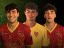 Stroppiana, Varacalli e Pavan del Cigliano