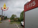 Villarboit, danni per la caduta di un albero Villarboit, danni per la caduta di un albero