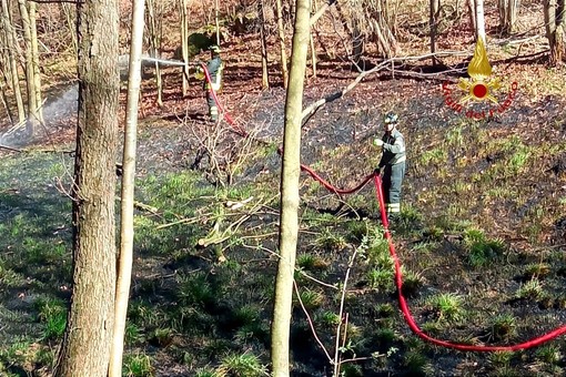 Cavi elettrici tranciati da un albero: incendio sopra Quarona
