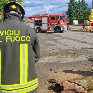 Via Bertinetti, cade un albero sulla strada