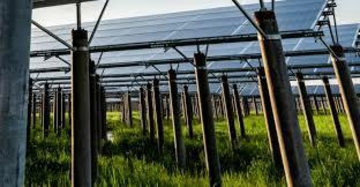 «Colpo di spugna sulle limitazioni per l'agricoltaico»