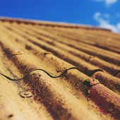 Amianto in videocolor: strada aperta al pre-pensionamento per centinaia di lavoratori Amianto in videocolor: strada aperta al pre-pensionamento per centinaia di lavoratori