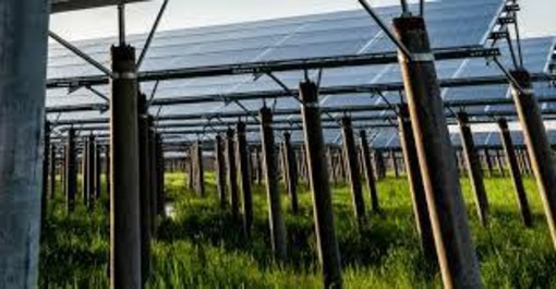 «Colpo di spugna sulle limitazioni per l'agricoltaico»