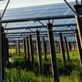 «Colpo di spugna sulle limitazioni per l'agricoltaico»