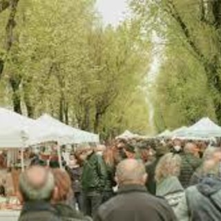 Week end di mercatini tra NaturalVercelli e Barlafus