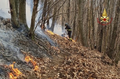 Sette squadre dei Vigili del Fuoco e nove dell'Aib al lavoro sull'incendio di Breia - FOTO E VIDEO