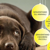 Botti di Capodanno, ordinanza di diveto e invito al buonsenso