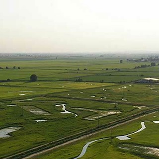 Fai Giovani, alla Cascina Oschiena per un evento sulla biodiversità