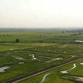 Fai Giovani, alla Cascina Oschiena per un evento sulla biodiversità