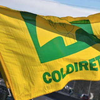 «I nostri agricoltori lavorano in perdita»