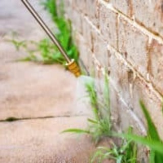 Glifosato, Pd e lista civica all'attacco: «Piano lacunoso, l'amministrazione cambi idea»