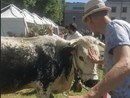 La Fattoria in Città: numeri e curiosità di una manifestazione di successo. Oltre 8000 i partecipanti ai laboratori