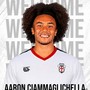 Aaron Ciammaglichella