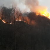 Vasto incendio tra Cravagliana e Rimella: chiusa la provinciale