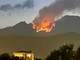 Un mese di lotta con il fuoco. L'estate dei roghi non dà tregua Un mese di lotta con il fuoco. L'estate dei roghi non dà tregua