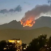 Un mese di lotta con il fuoco. L'estate dei roghi non dà tregua Un mese di lotta con il fuoco. L'estate dei roghi non dà tregua