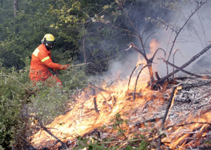 Incendi boschvi: stato di massima pericolosità