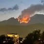 Un mese di lotta con il fuoco. L'estate dei roghi non dà tregua Un mese di lotta con il fuoco. L'estate dei roghi non dà tregua