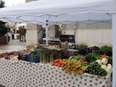 Torna “Gusto, Sapori e Arte" Torna “Gusto, Sapori e Arte"