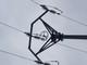 E-Distribuzione: sulle linee elettriche posizionati i dissuasori salva rapaci