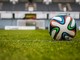 Organizzazione e gestione di una società calcistica moderna