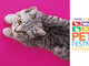 I gatti più belli in mostra a Petsfestival