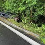 Pozzolo, incidente nel biellese, tasso alcolemico oltre i limiti